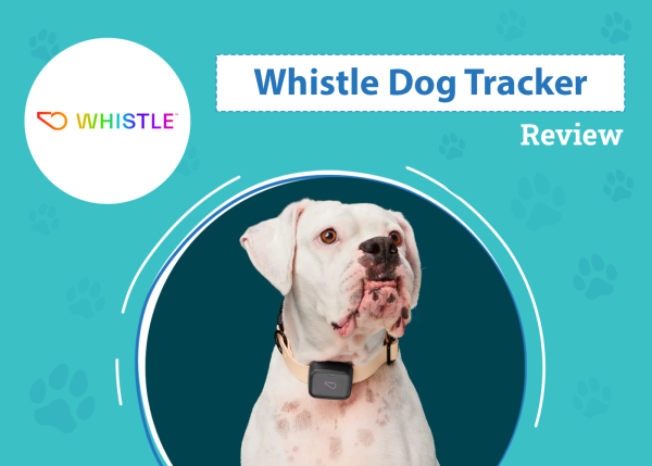 Whistle Dog Tracker Review