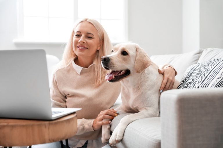 how-to-get-vet-prescriptions-online-our-vet-explains-the-5-steps-faq