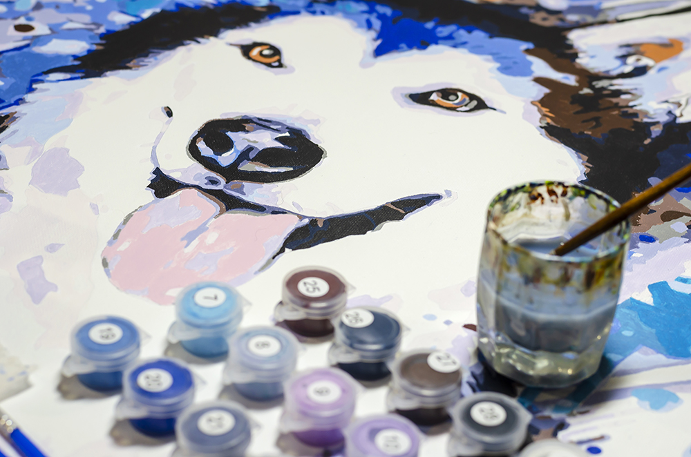 close up siberian husky painting