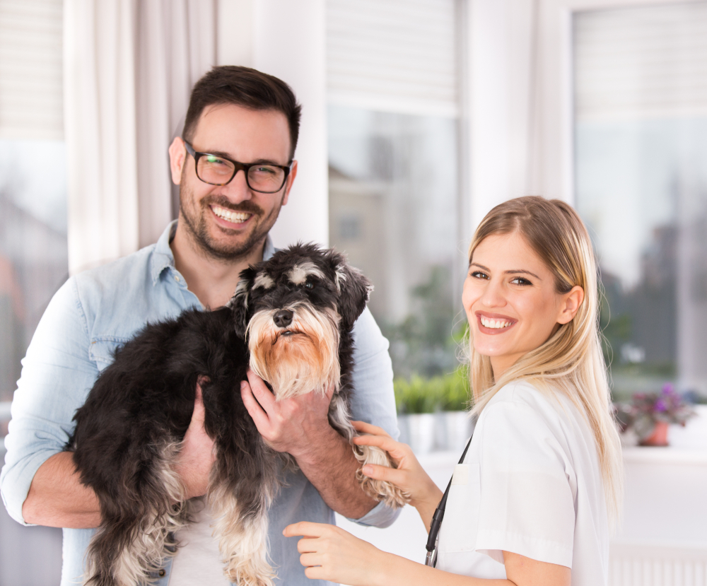 male owner holding his dog beside a female veterinarian