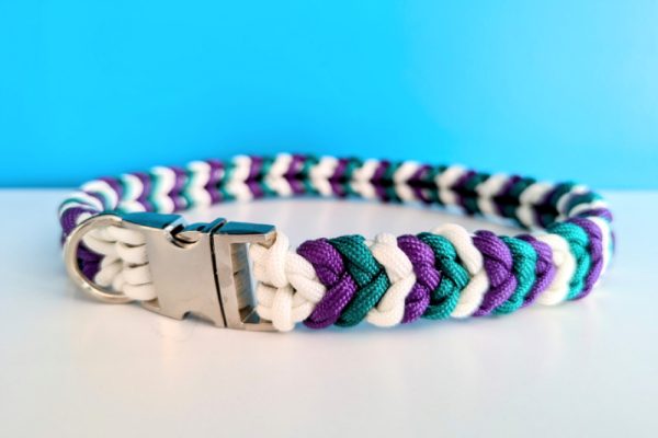 DIY Paracord Dog Collar