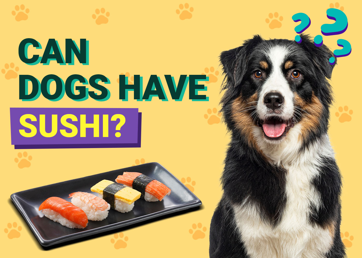Dogster-Can-Dogs-Have-Sushi