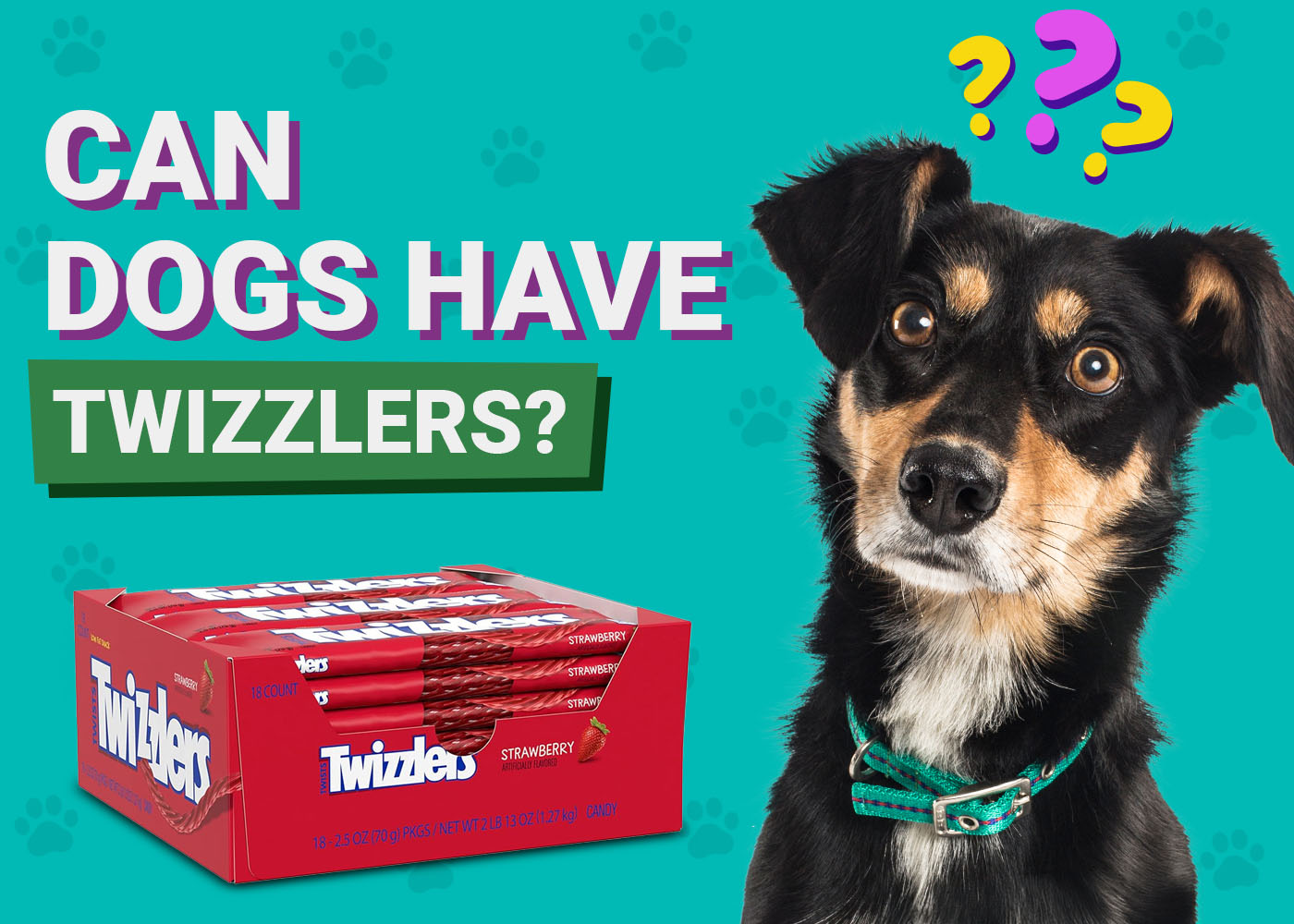 Dogster-Can-Dogs-Have-Twizzlers