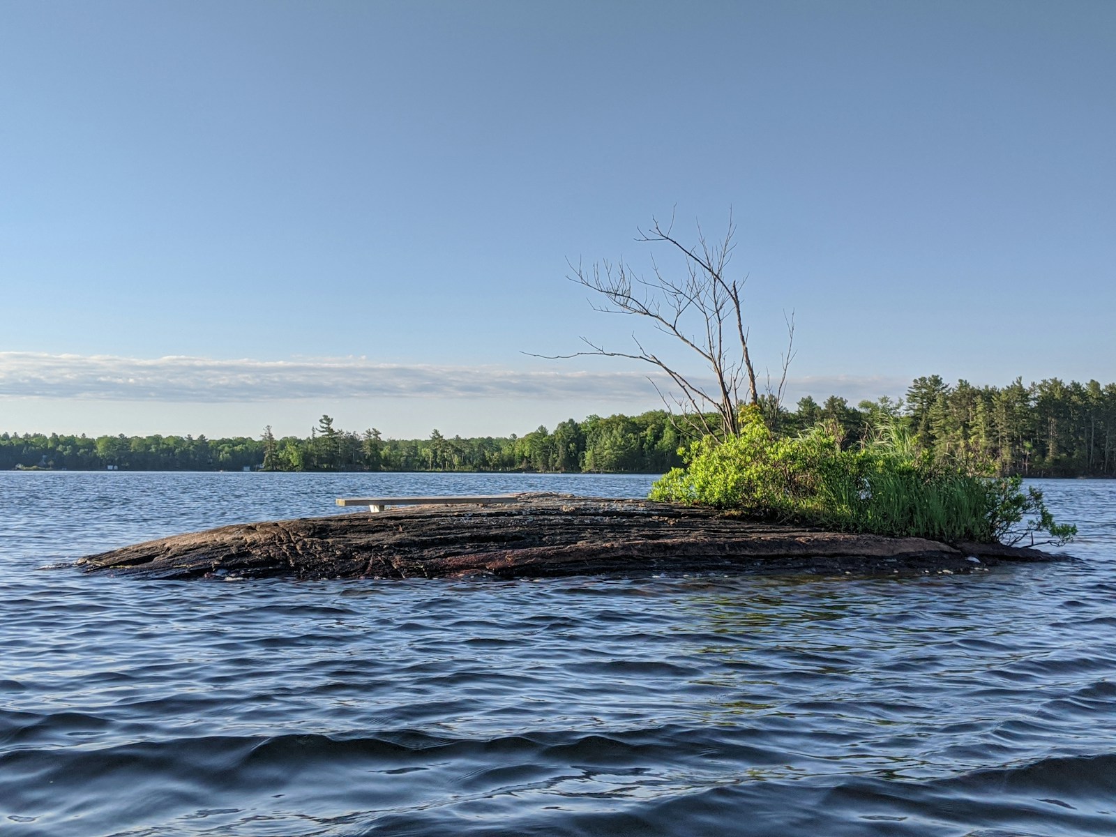 Kawartha Lakes Ontario green grass beside body of water during daytime