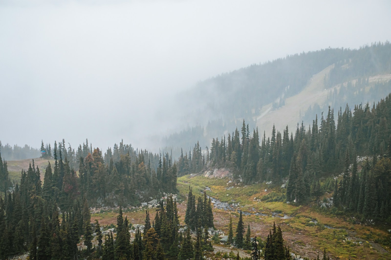 Whistler, British Columbia green trees under white clouds