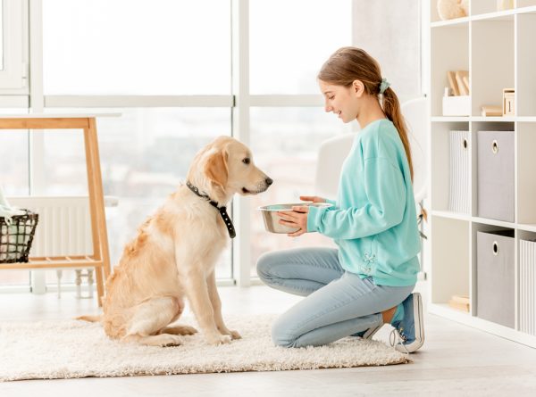 young girl feeding her pet dog