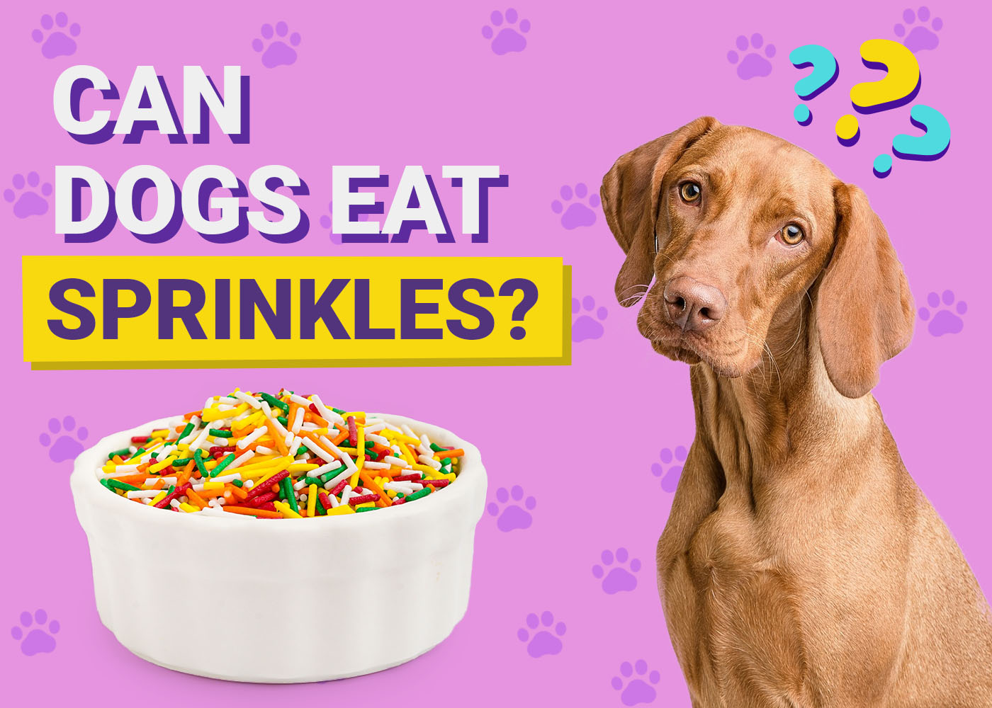 Dogster-Can-Dogs-Eat-Sprinkles