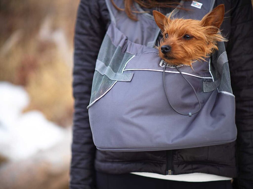 Outward Hound PukPak