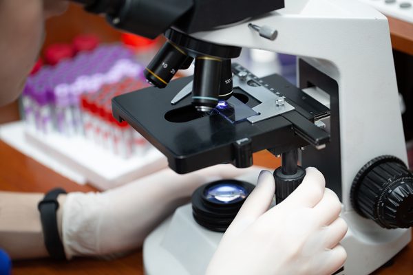 veterinarian looking at the microscope