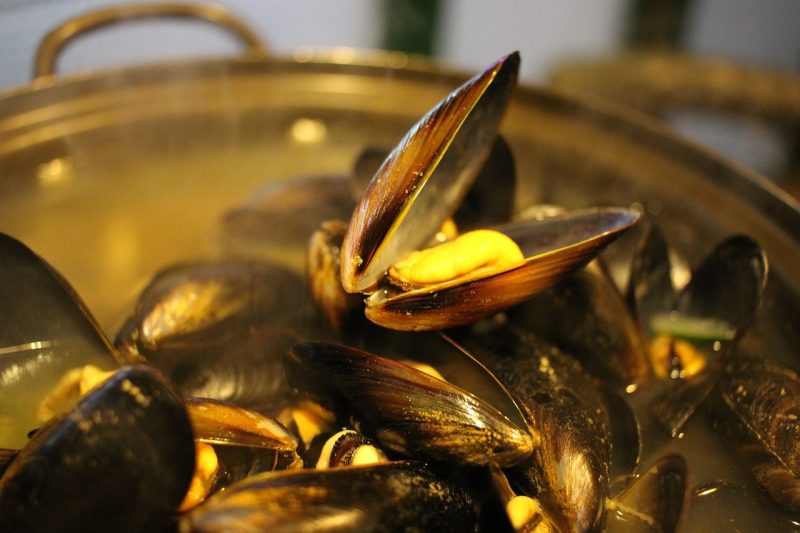 mussel soup, mussel, clam soup