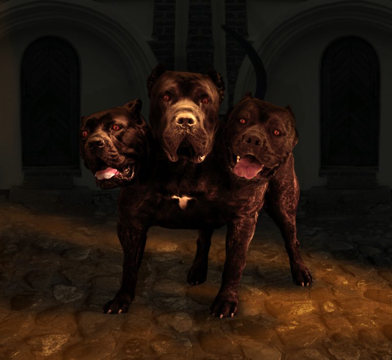 Cerberus mythical monster
