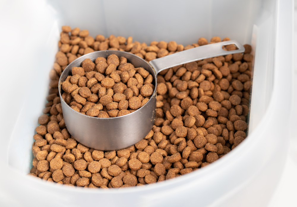 dry dog or pet food in a plastic storage container