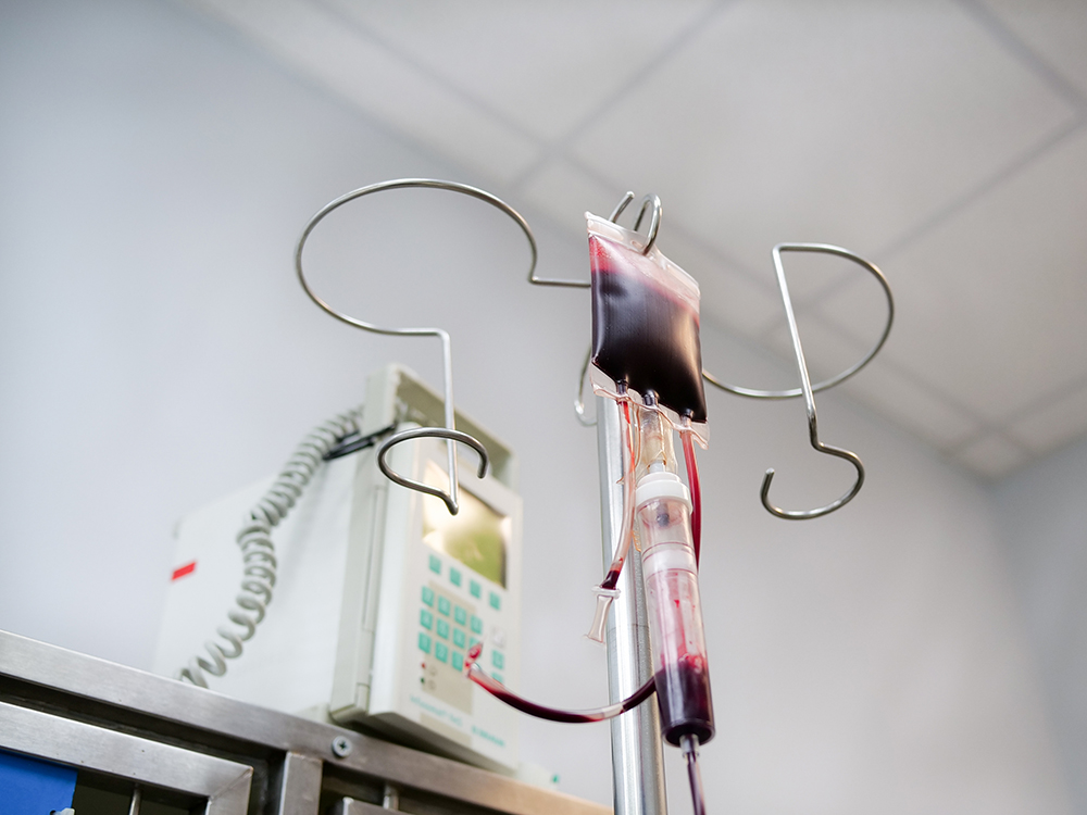 pet blood transfusion