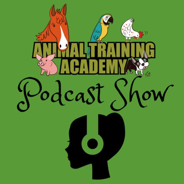 10 Best Dog Training Podcasts in 2024 Dogster