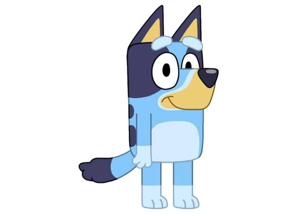 What Kind of Dog Is Indy from Bluey? Breed Facts & Explanation – Dogster