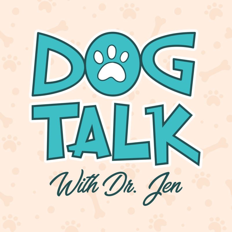 10 Best Dog Training Podcasts in 2024 Dogster