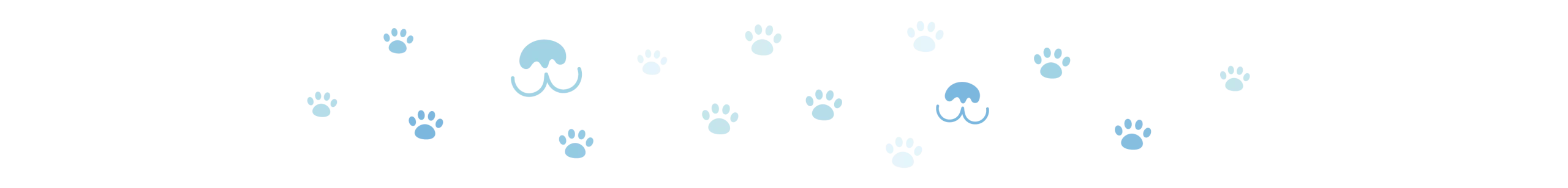 divider dog paws 4 oct 2024 divider dog paws 4 oct 2024