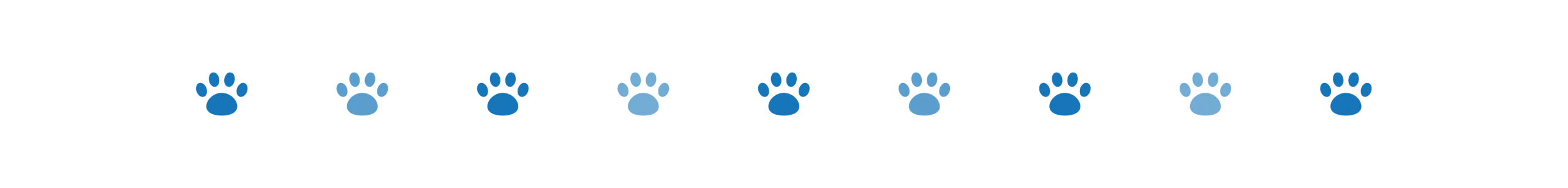 divider dog paws 3 oct 2024 divider dog paws 3 oct 2024