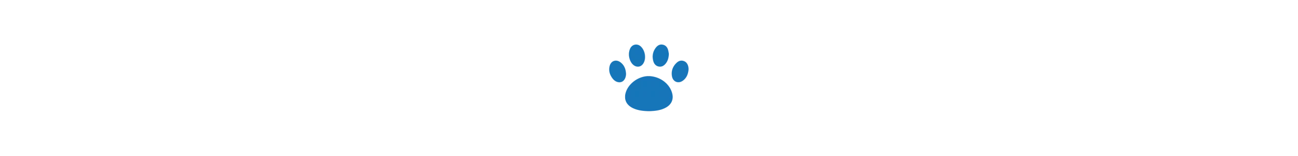 divider single dog paw oct 2024 divider single dog paw oct 2024