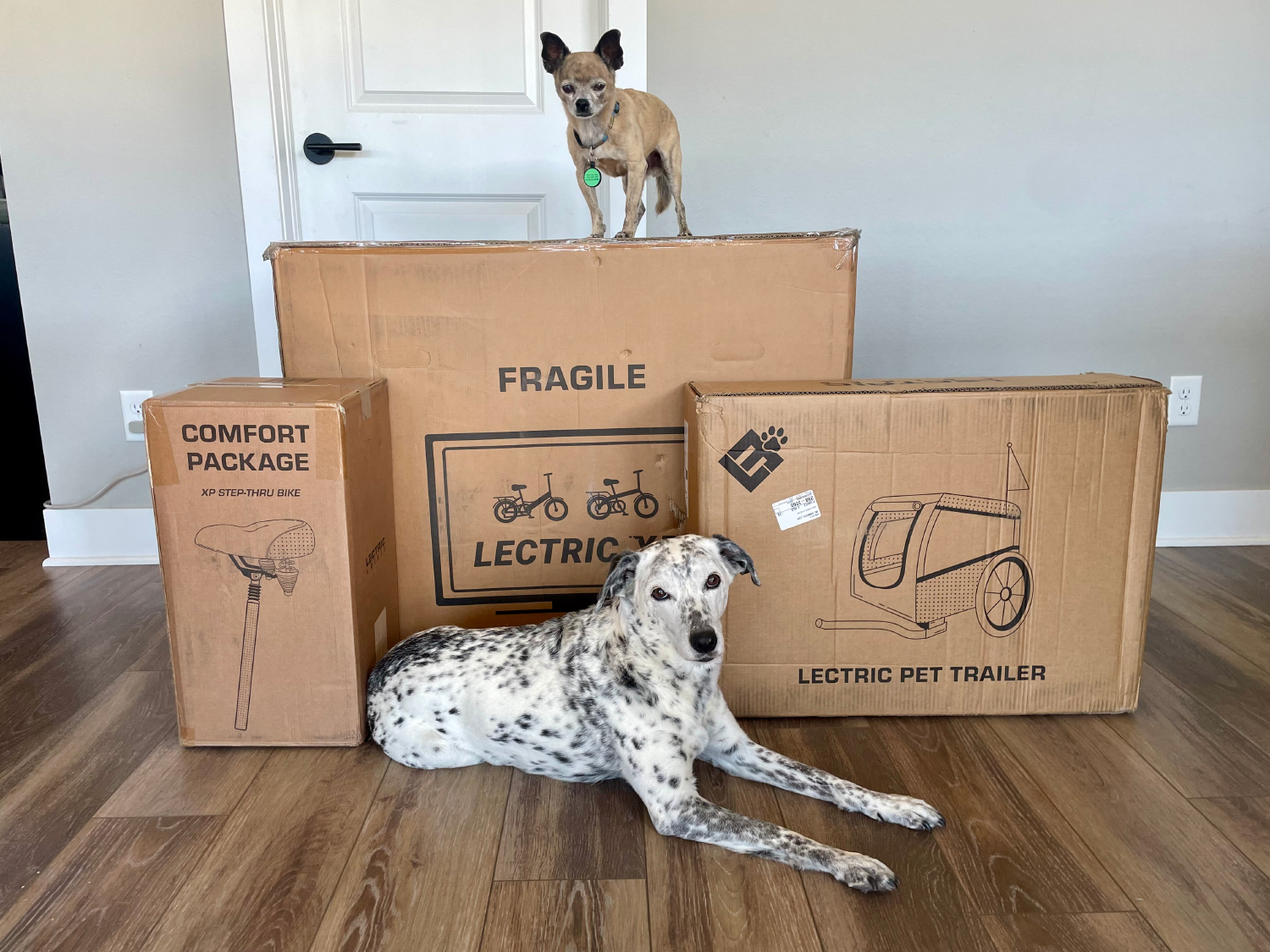 Lectric eBikes - papyrus and ragz with the product boxes