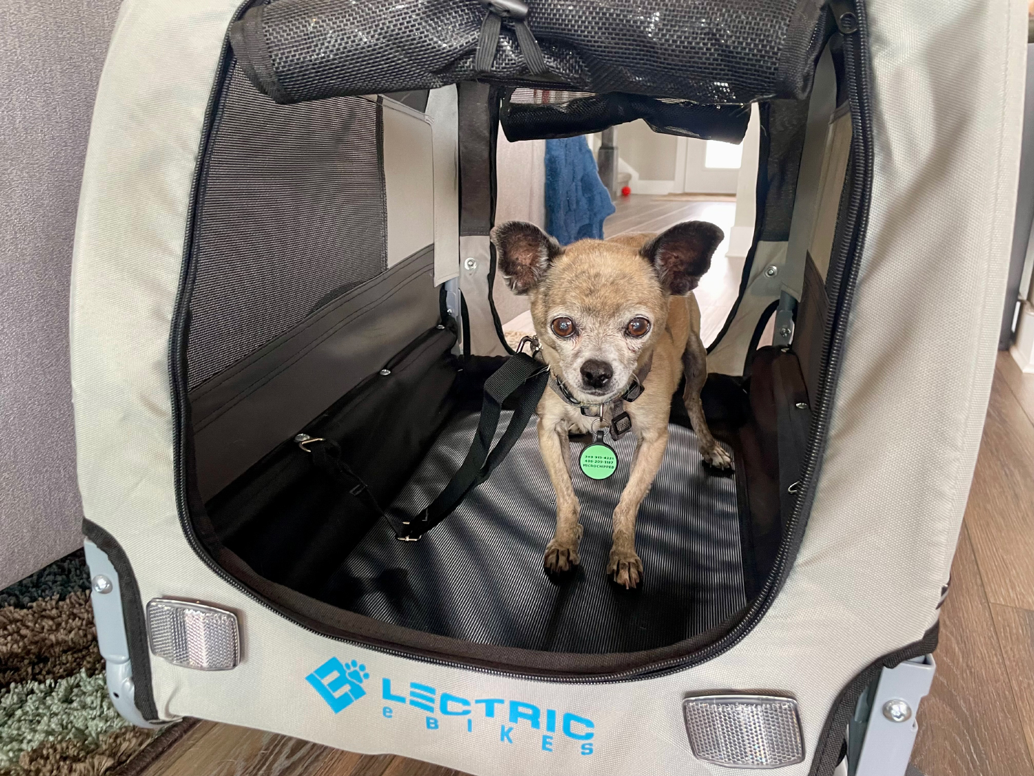 Lectric eBikes - papyrus in the trailer