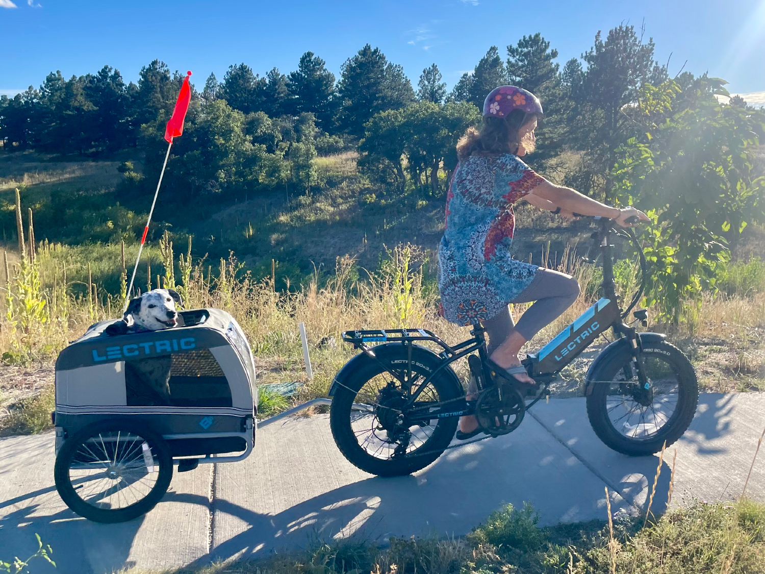 Lectric eBikes - ragz in the trailer