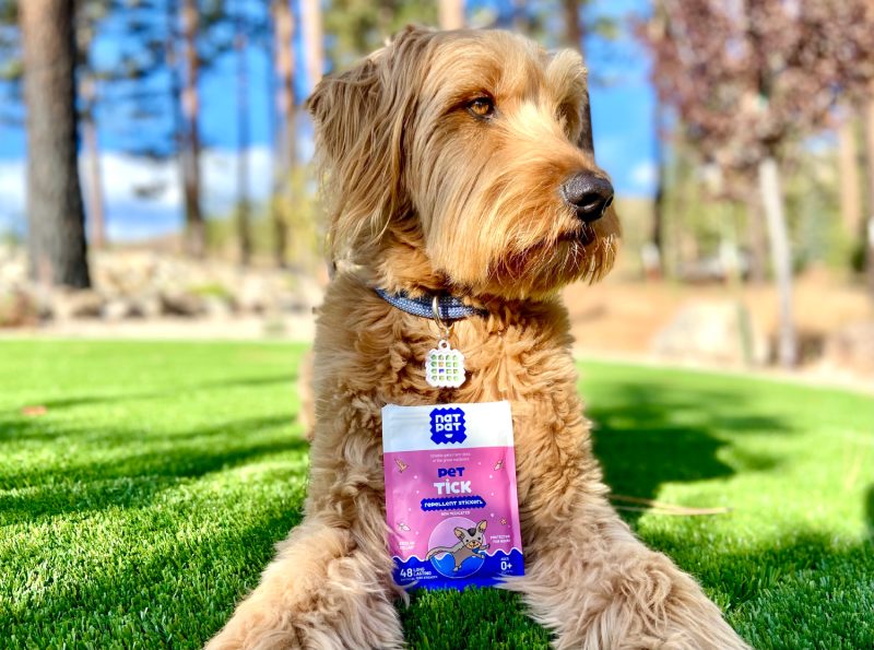 NATPAT Pet Patches Review 2025: An Expert’s Breakdown – Dogster