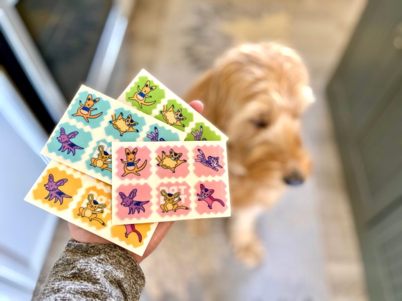 NATPAT Pet Patches Review 2025: An Expert’s Breakdown – Dogster