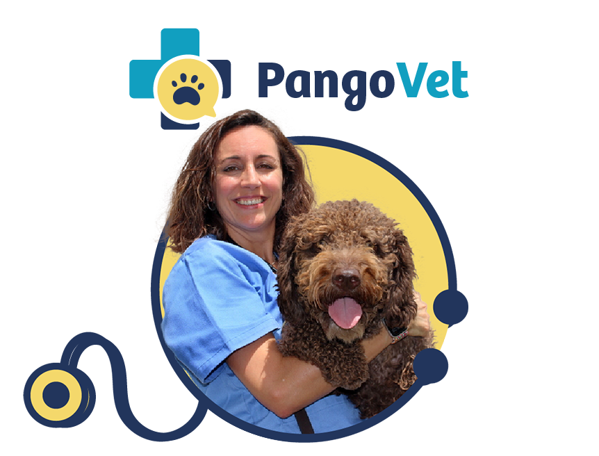 PangoVet PangoVet