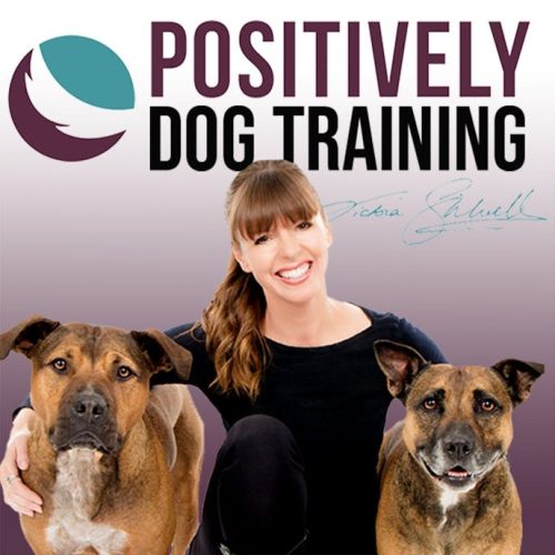 10 Best Dog Training Podcasts in 2024 Dogster