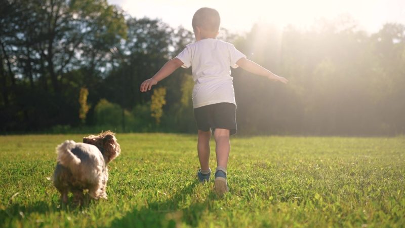 dog and child running on grass