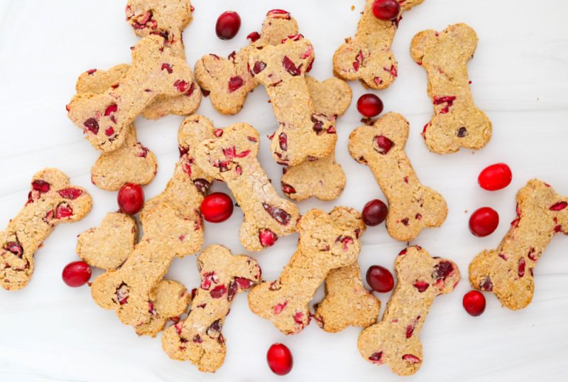 Cranberry Dog Treats