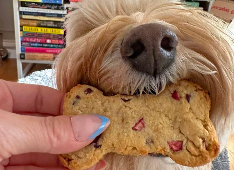 Cranberry Dog Treats