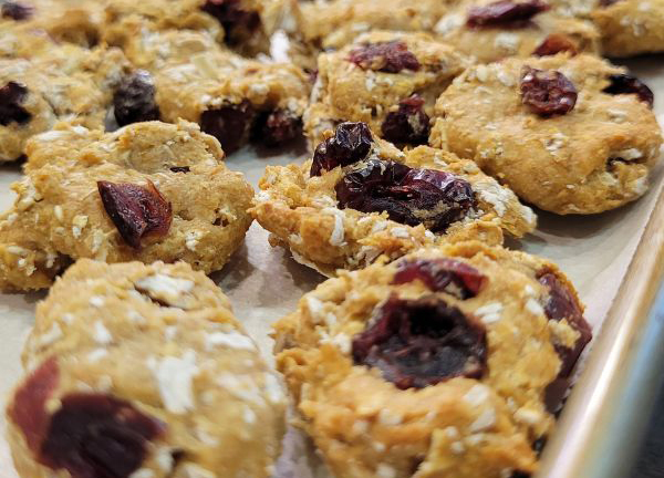 Easy Homemade Cranberry Dog Treats