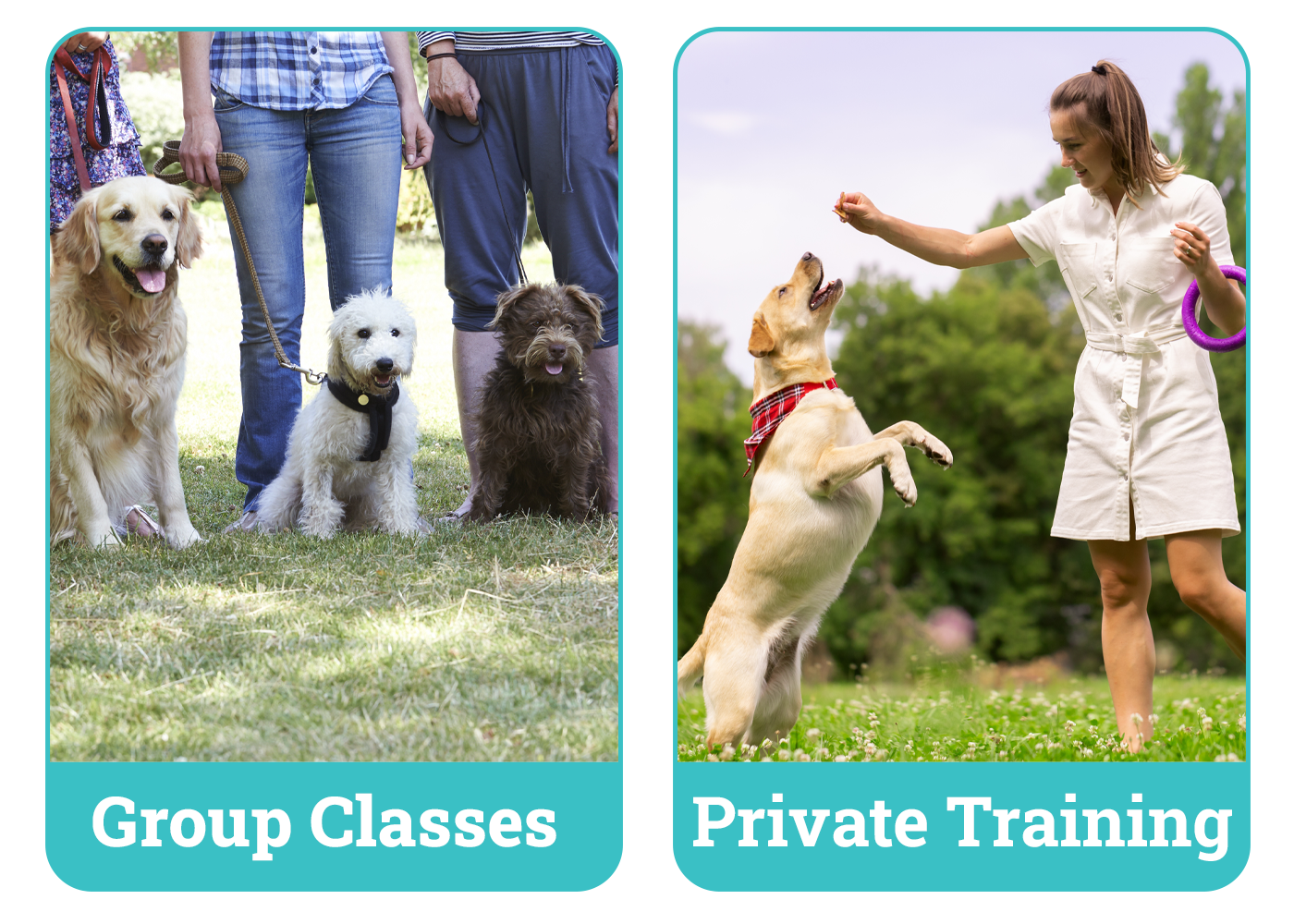 Group Classes or Private Training