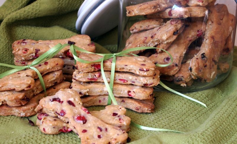 Peanut Butter Cranberry Dog Treats