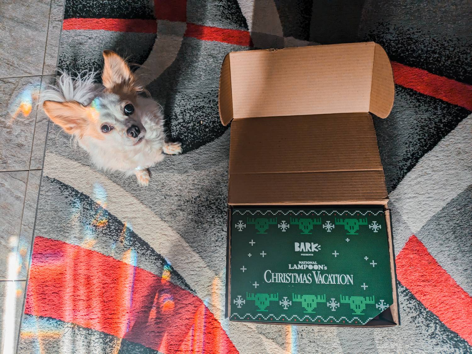 BarkBox Review - Kerstthema