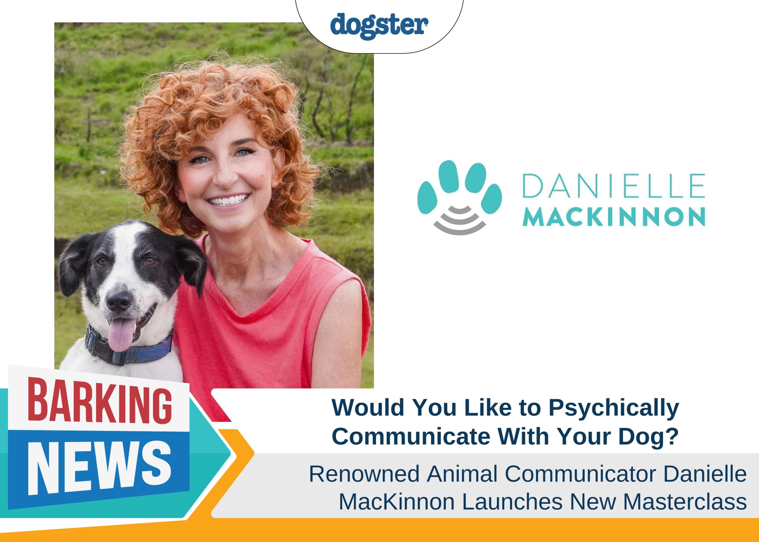 Would You Like to Psychically Communicate With Your Dog? Renowned ...