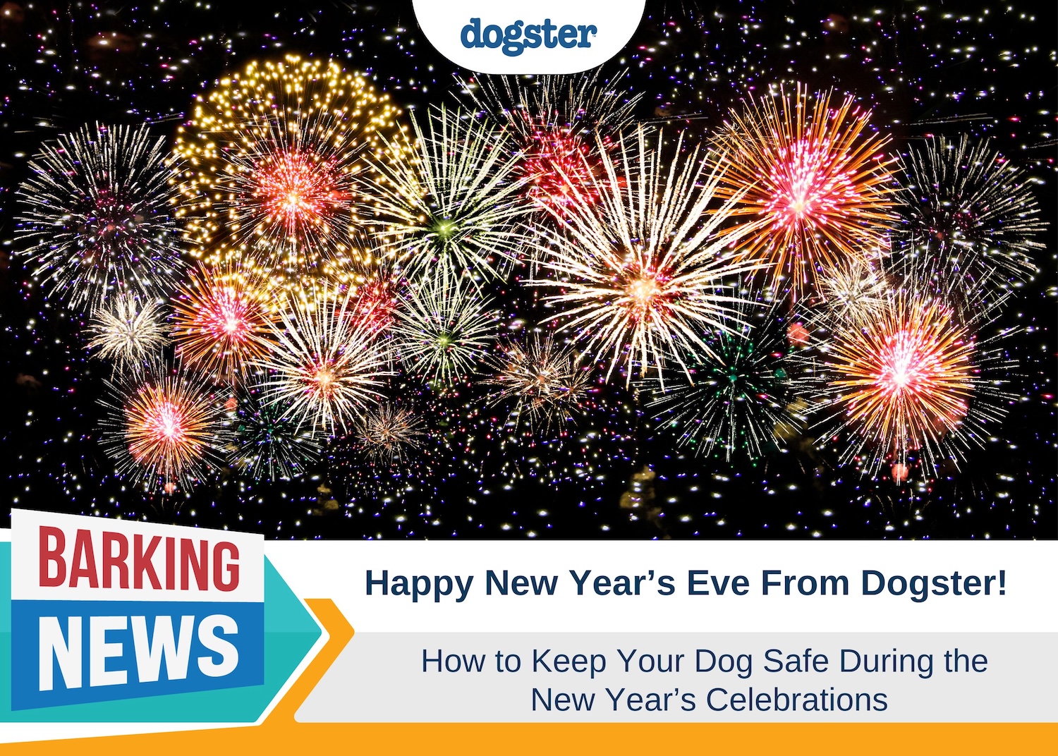 National Train Your Dog Month 2024 When It Is & How to Celebrate Dogster