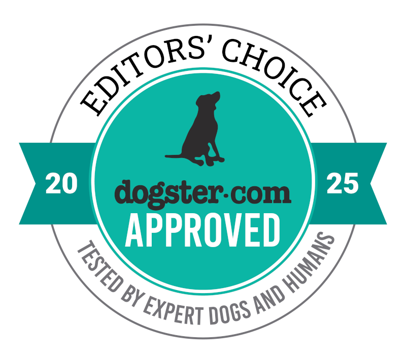 High Cholesterol In Dogs Our Vet Discusses Signs Causes Treatments 