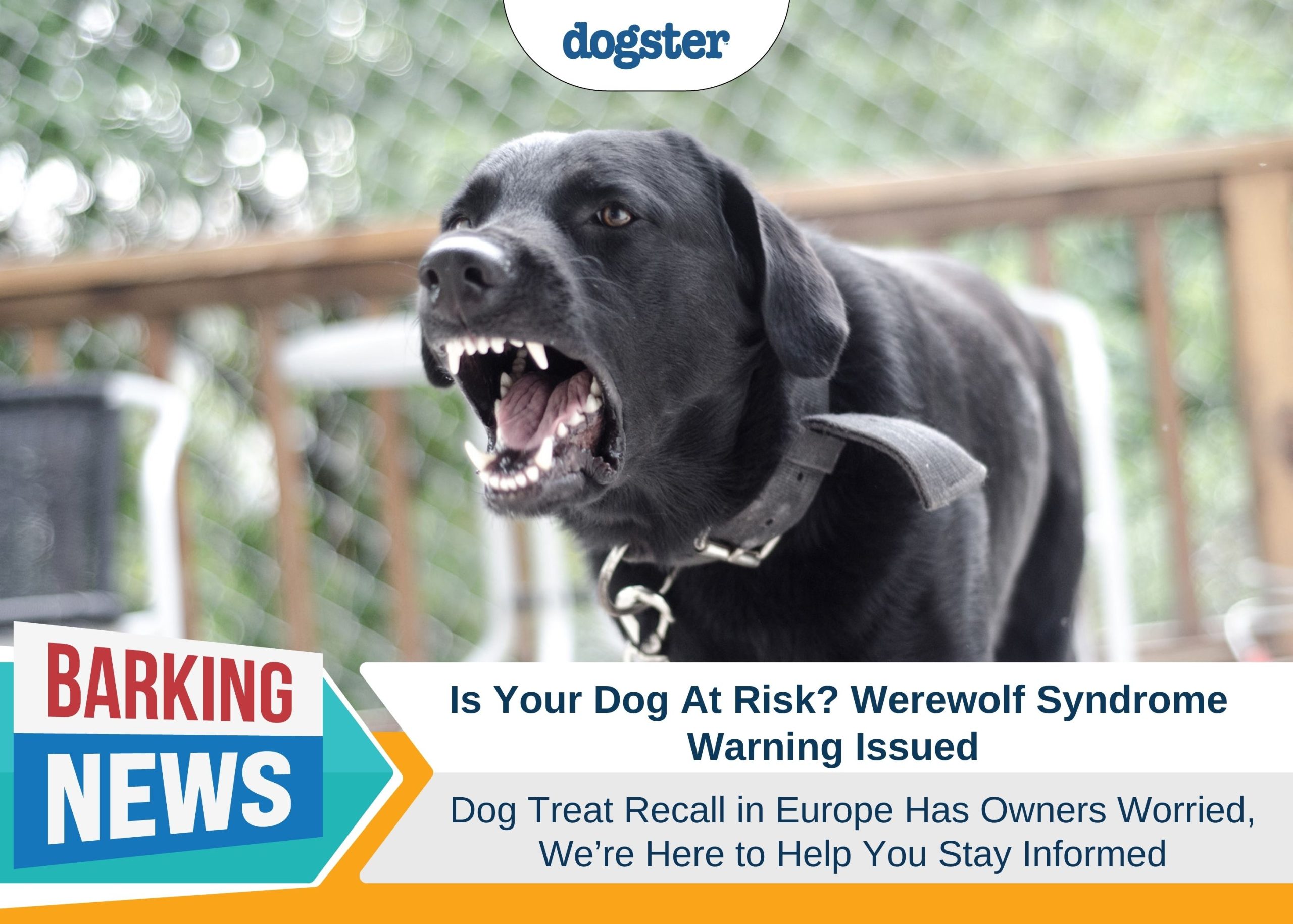 Werewolf Syndrome Warning Issued