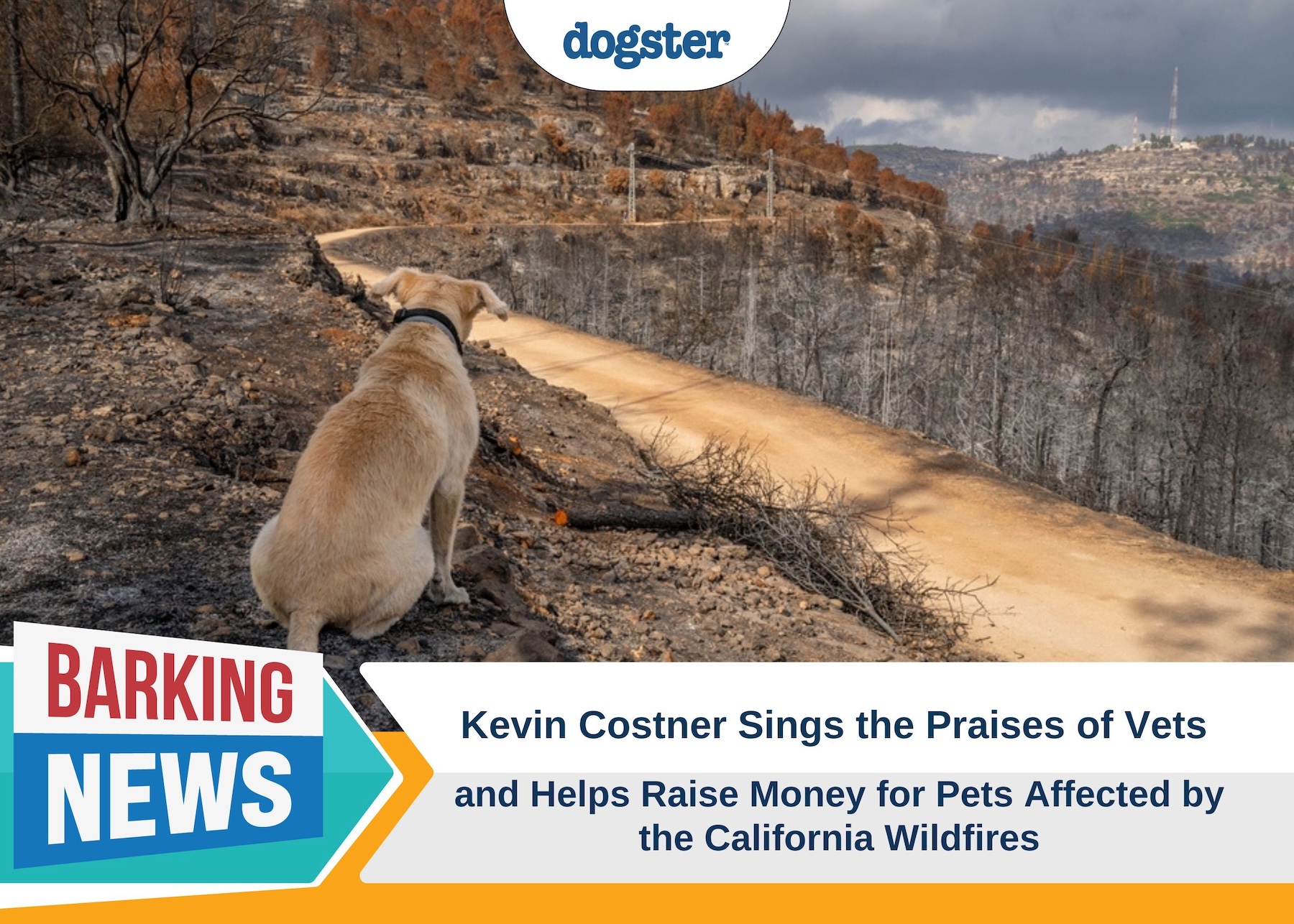 Kevin Costner Sings the Praises of Vets and Helps Raise Money for Pets Affected by the California Wildfires