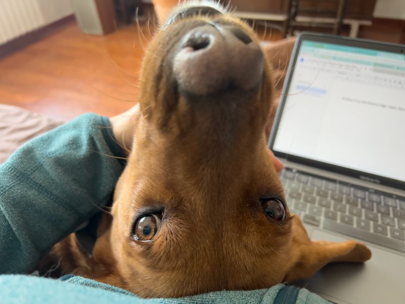 Hela seeking attention from Maja