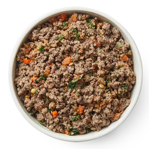The Farmer's Dog bowl