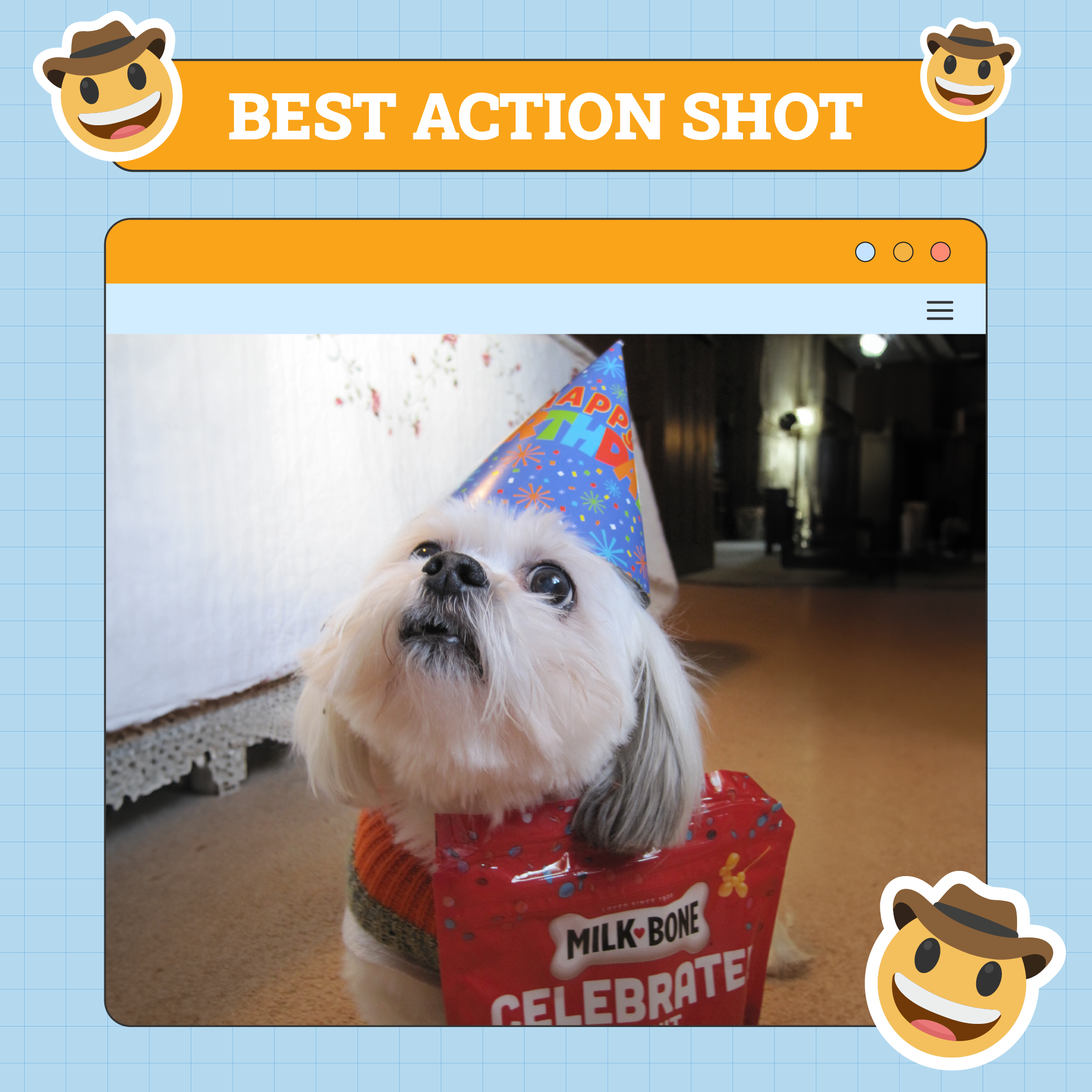 Beste actiehond