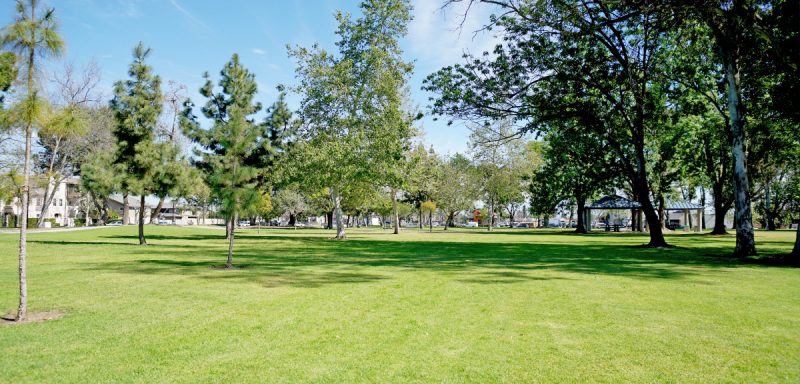 Centennial Park