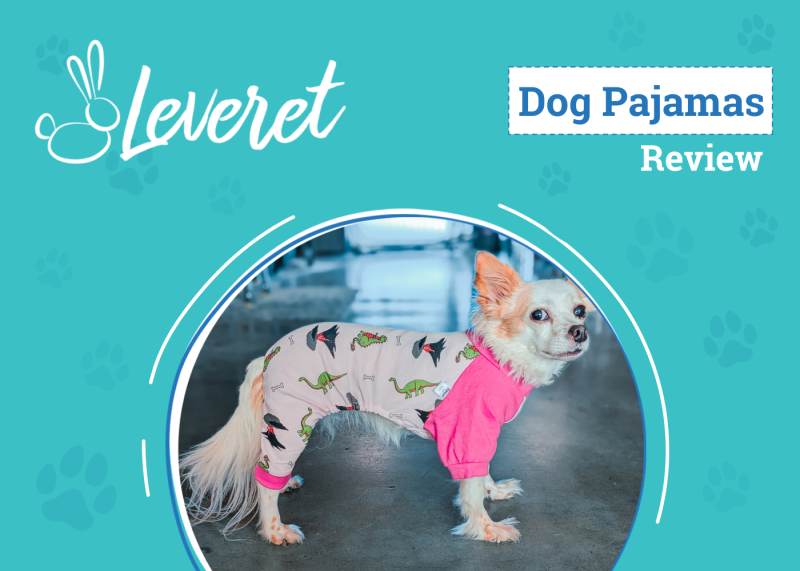 DOG_SAPR_Leveret Dog Pajamas