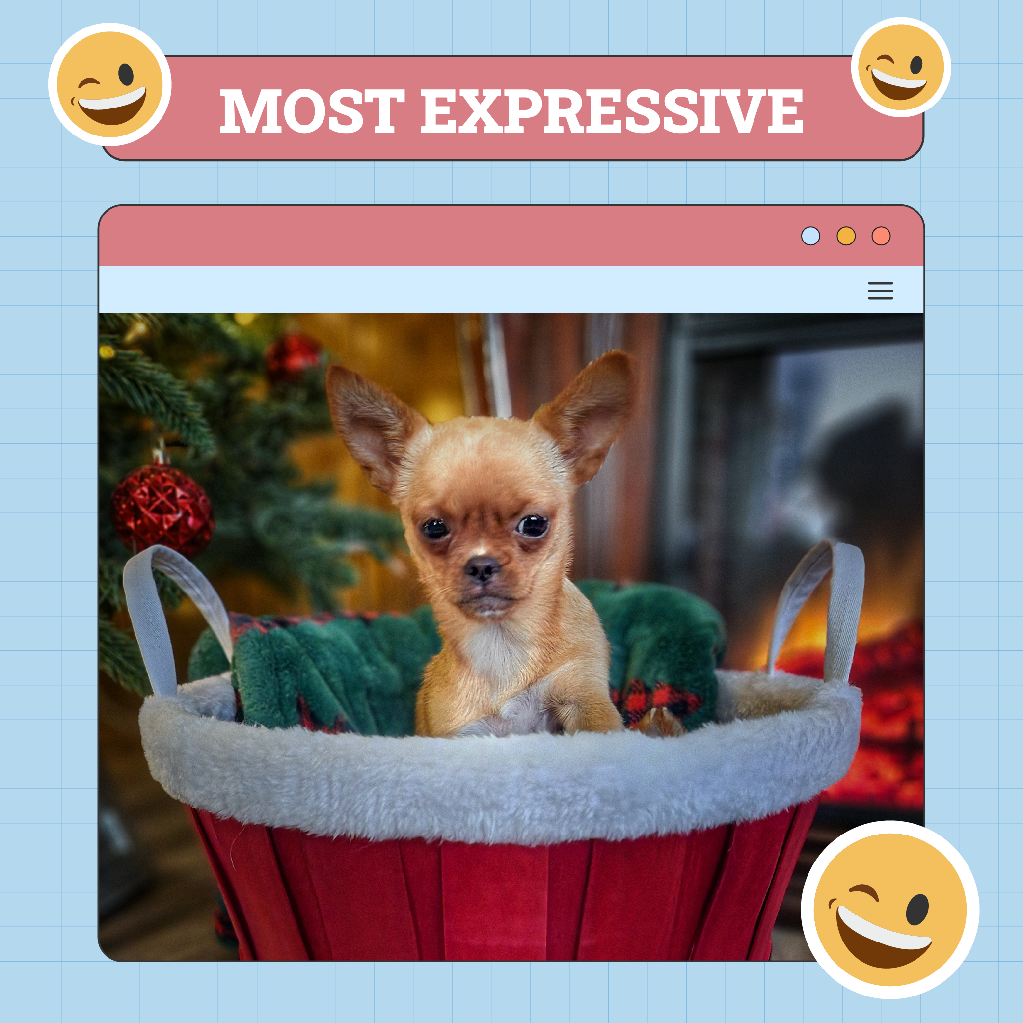Meest expressief