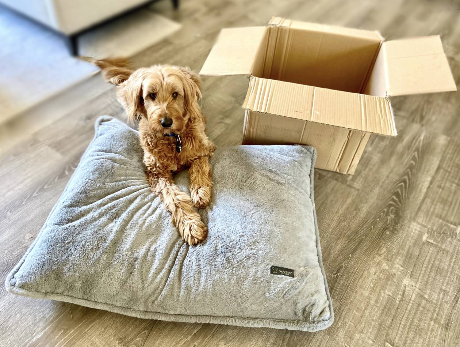 Nandog Super Cloud Pillow Bed Review - Micah unboxing