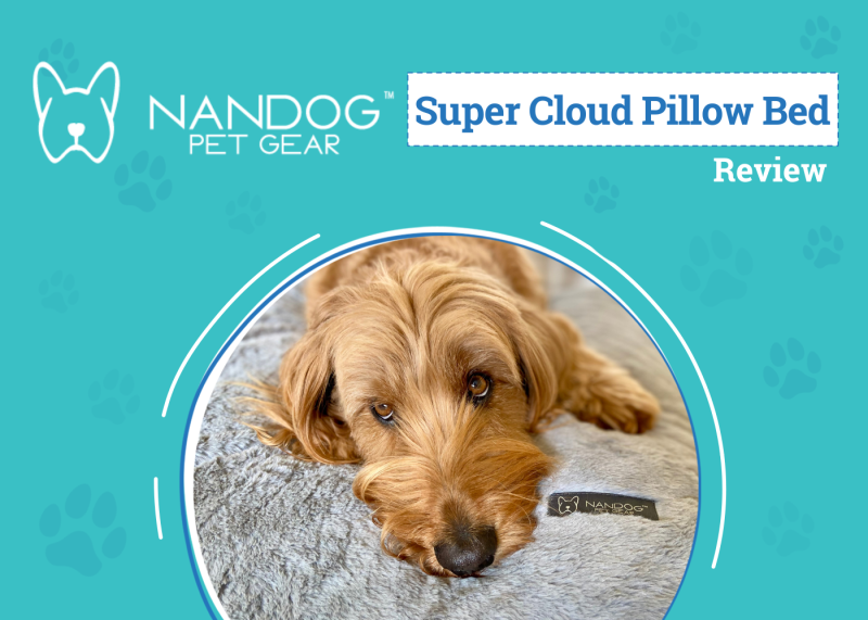 Nandog Super Cloud Pillow Bed Review - featured image